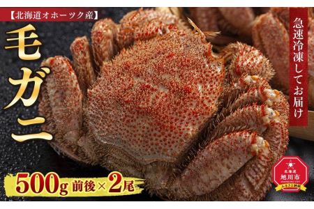 北海道オホーツク産 毛ガニ 500g 前後×2尾 計1kg