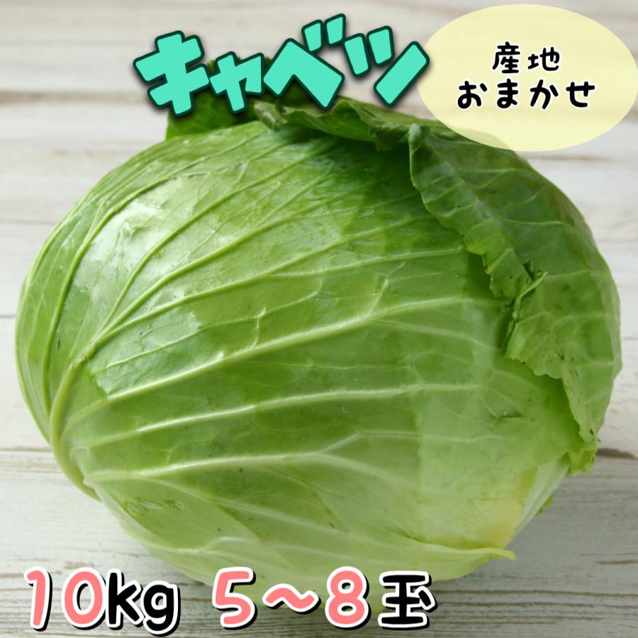 キャベツ 産地おまかせ １箱 10kg きゃべつ