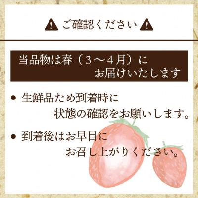 ふるさと納税 岡垣町 博多あまおう2パック(春)『2024年3〜4月発送』(岡垣町)