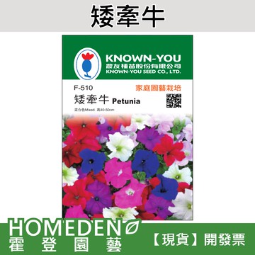 【隔日到貨】矮牽牛 F-510 混合色 花卉種子 農友牌 小包裝種子 約70粒/包【HOMEDEN霍登園藝】