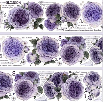 奧古斯汀之約 PET 紙膠帶 貝殼光