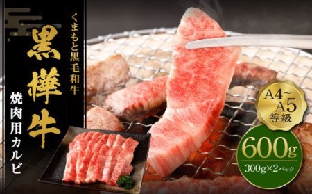 くまもと黒毛和牛 杉本本店 黒樺牛 A4~A5等級 焼肉用カルビ 300g×2 計600g