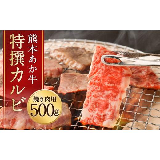 ふるさと納税 熊本県 菊池市 熊本 あか牛 特撰 カルビ 約500g