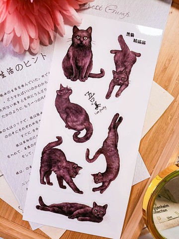 5K054_五口美 _ 黑貓睛晶晶 _ Black Cat B/轉印貼紙