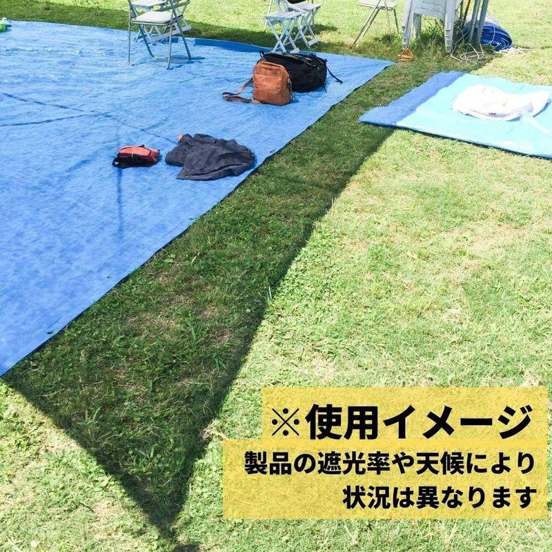 ダイオ化成 遮光ネット ダイオネット 810 カラミ織 黒 遮光率60% 2x6m