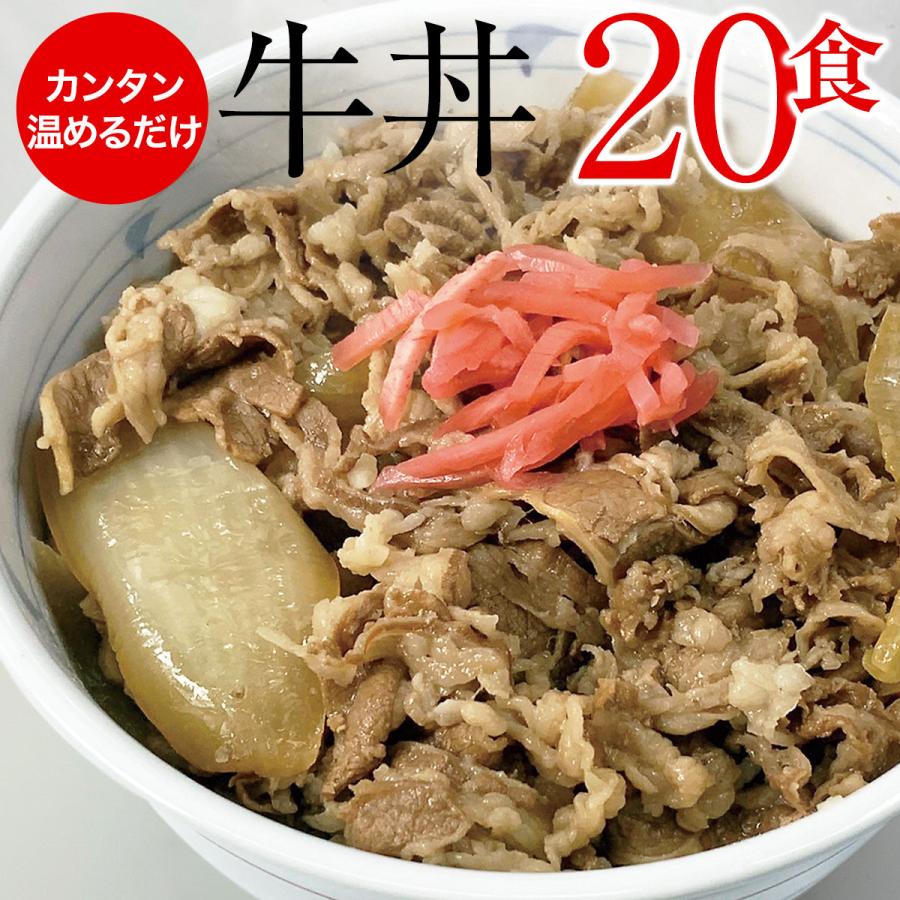 やまと特製 牛丼 20パック セット