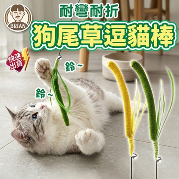 狗尾巴草逗貓棒【布萊恩👨🏻隔日到貨】貓咪互動玩具 綠色逗貓棒 貓咪玩具 長杆逗貓棒 貓咪用品 逗貓棒 寵物用品