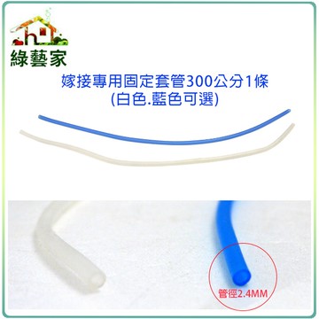 【綠藝家】茄科嫁接專用固定套管300公分1條(白色.藍色可選)