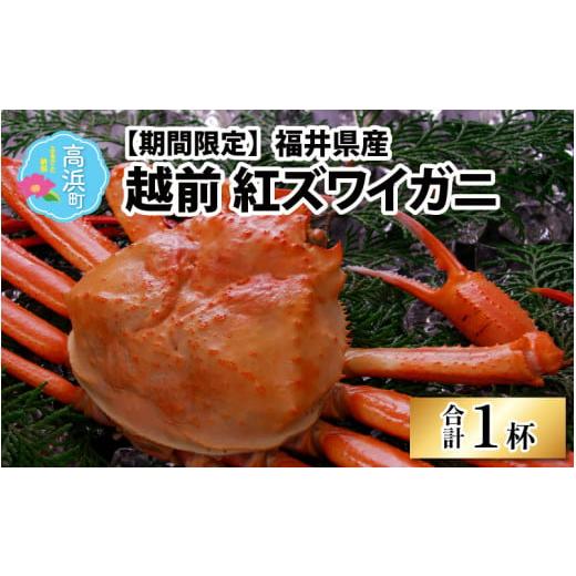 ふるさと納税 福井県 高浜町 福井県産 越前紅ズワイガニ × 1杯