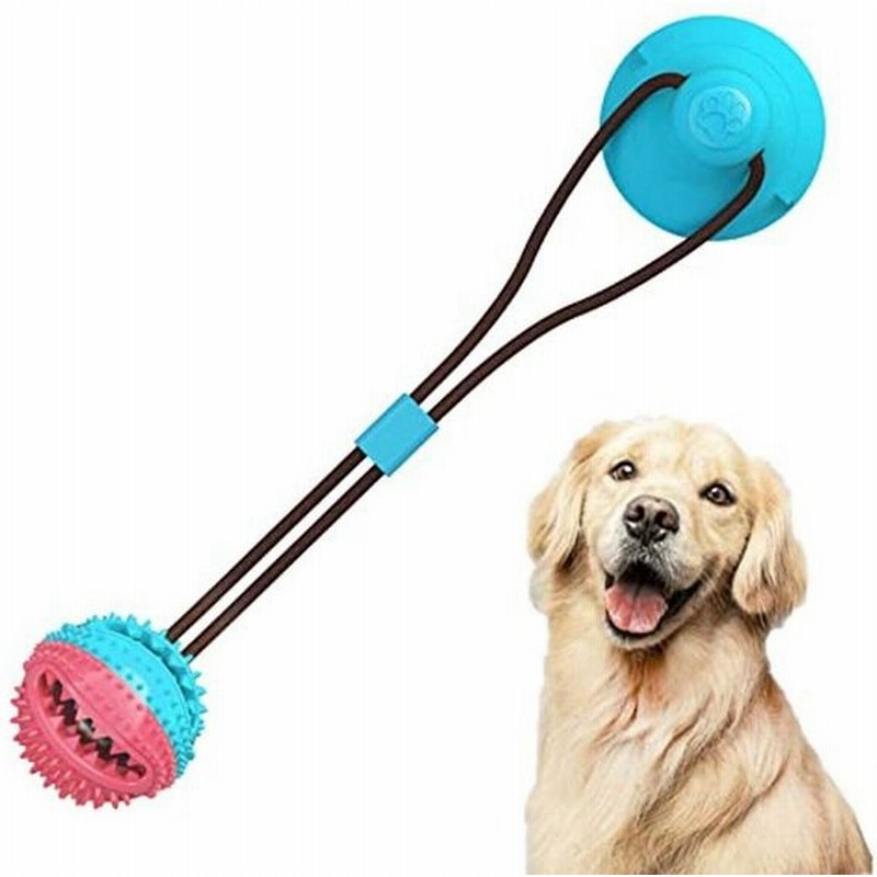 犬 噛むおもちゃ ペットボール 大臼歯漏れ防止噛むボール 犬の知育玩具 玩具ボール 犬のおもちゃ ペットおもちゃ 犬の歯のきれいなボール フ 通販 Lineポイント最大0 5 Get Lineショッピング