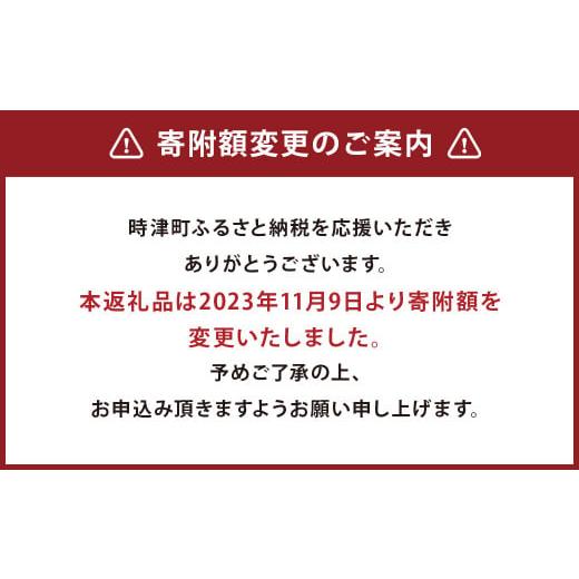 ふるさと納税 長崎県 時津町 長崎県産 本マグロ「大トロ」約600g