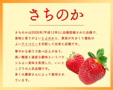 いちご イチゴ 苺 さちのかいちご 約1kg JA紀の里農業協同組合 《2024年2月上旬-3月末頃より順次出荷》 和歌山県 紀の川市 果物 フルーツ