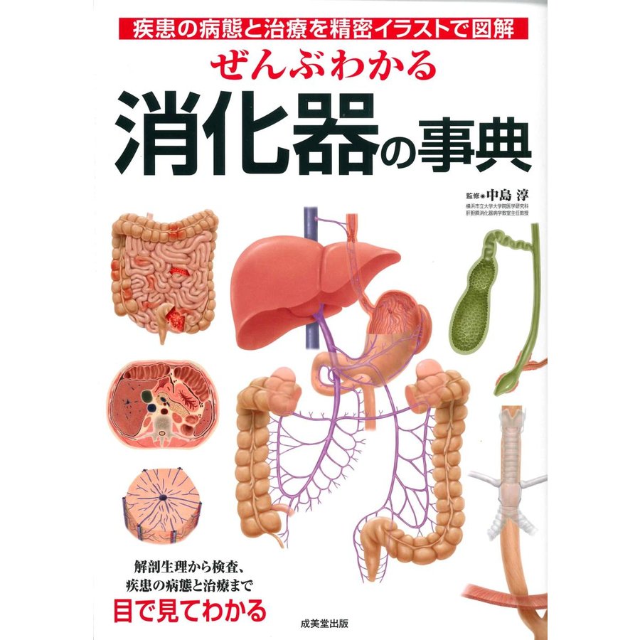 ぜんぶわかる消化器の事典-疾患の病態と治療を精密イラストで図解