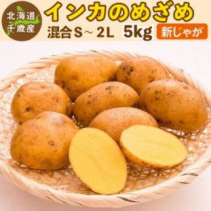 インカのめざめ 新じゃが 5kg S～2Lサイズ混合 北海道 千歳産 じゃがいも ジャガイモ 送料無料 訳あり