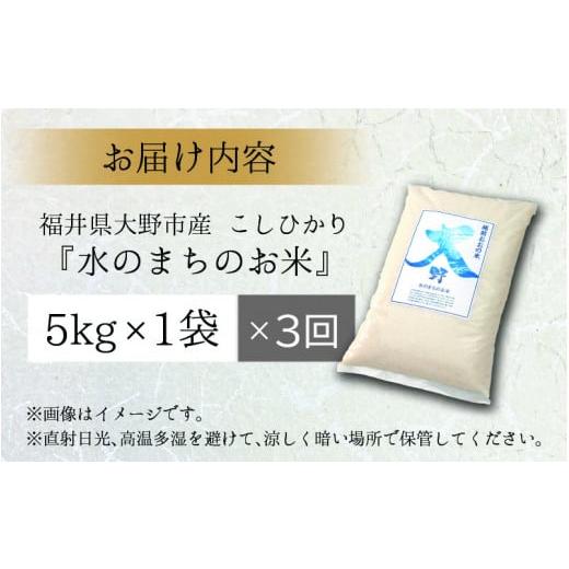 ふるさと納税 福井県 大野市 こしひかり 5kg×3回 計15ｋg「エコファーマー米」水のまちのお米