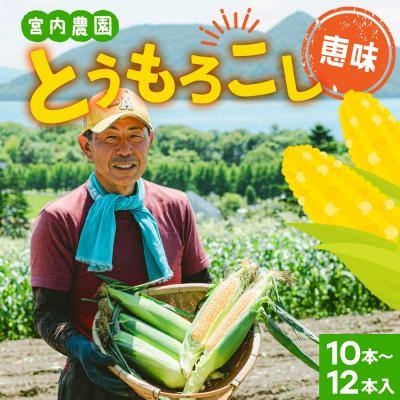 ふるさと納税 洞爺湖町 北海道産 朝採れ とうもろこし 恵味 めぐみ 2L 10〜12本 宮内農園 北海道 洞爺湖町