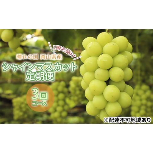 ふるさと納税 岡山県 里庄町 ぶどう 2024年 先行予約 晴れの国 シャインマスカット 1房（約700g） 定期便 3回 コース フルーツ 果物 岡山