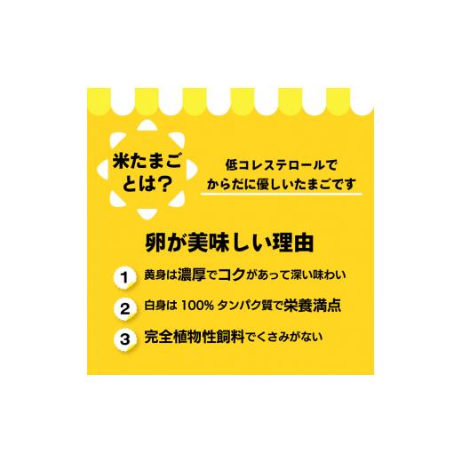 ふるさと納税 愛知県 常滑市 ココテラスの名古屋コーチンの卵かけ御飯セット