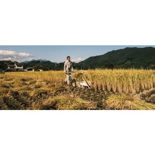 ふるさと納税 山梨県 北杜市 そらくも農場のミネラルたっぷりどんぐり米（白米３kg）＋おじら米（白米３kg）
