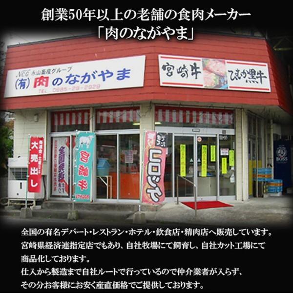 宮崎県産 黒毛和牛 モモステーキ 宮崎牛 A4ランク以上 モモ肉ステーキ 300g 100g×3枚 冷凍