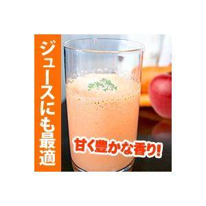 にんじん 北海道産 10kgセット 人参ジュースに最高！ ニンジン お取り寄せ 産直 野菜 人参 秋の味覚