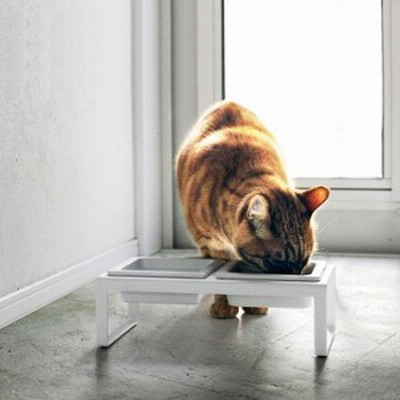 ◎★ 山崎実業 ペットフードボウルスタンドセット tower タワー トール  ホワイト 水 フード 犬 猫 yamazaki