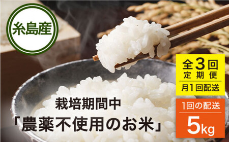  栽培期間中 農薬不使用のお米 ヒノヒカリ 5kg 糸島市 シーブ 米 定期便[AHC041]