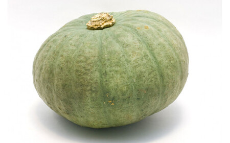 かぼちゃ(雪化粧) 2玉 約3kg  かぼちゃ カボチャ 雪化粧 野菜 北海道 北広島市