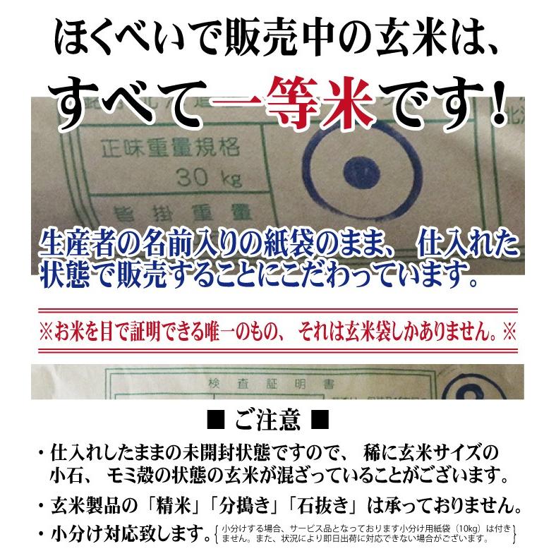 北海道産 ゆきひかり 玄米 30kg　令和5年産　一等米　北海道米