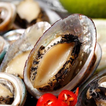 【華得水產】台灣宜蘭九孔小鮑魚4包組(500g土10%/14-18粒/包)