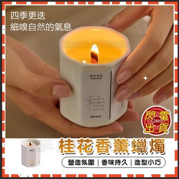 台灣現貨 IG/小紅書 爆款【菓凱】陶瓷精油香薰蠟燭 精油香薰蠟燭 療癒身心首選 現代園丁 桂花香薰 精油香氛 持久薰香