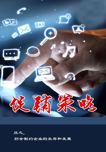 【電子書】促销策略