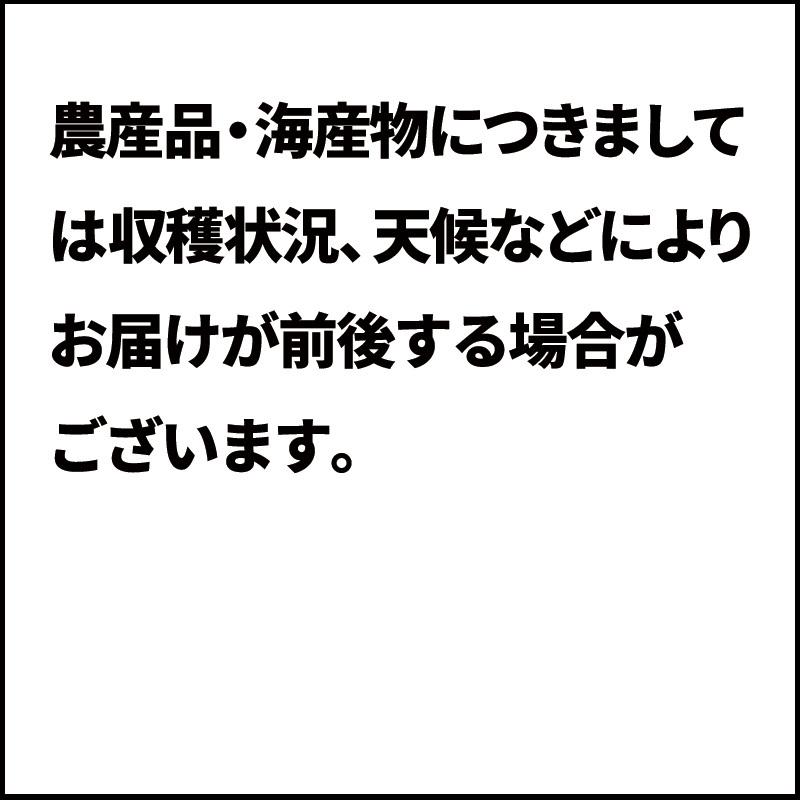 佐賀県産 いちごさん600g桐箱入り　お歳暮　御歳暮　高級　ギフト　贈答品　贈り物　お取り寄せ　グルメ　佐賀　九州