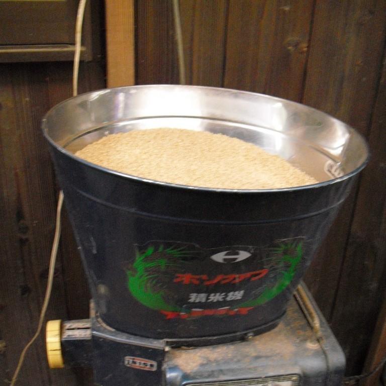 はせ掛けした合鴨米　15kg　白米 　アイガモ米 　合鴨米　はせ掛け米　自然乾燥 　天日乾燥　農薬不使用　化学肥 料不使用　自然栽培　無農薬