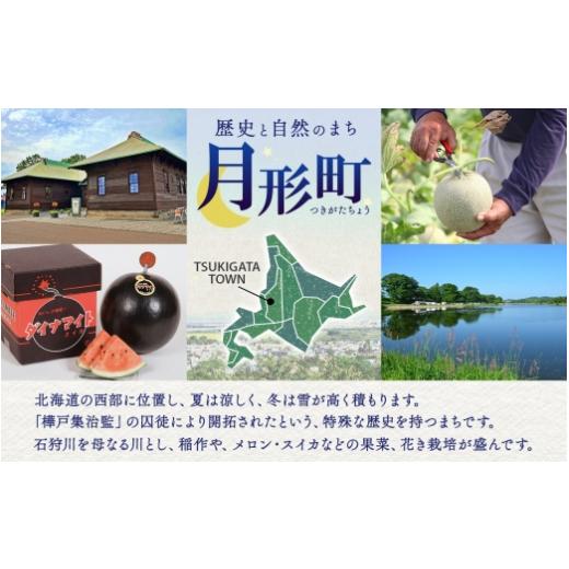 ふるさと納税 北海道 月形町 北海道 赤肉メロン 北の女王 秀品 約1.6kg×1玉 メロン 果物 フルーツ 旬 季節 希少 貴重 甘い 豊潤 国産 デザート ご褒美 産地直…