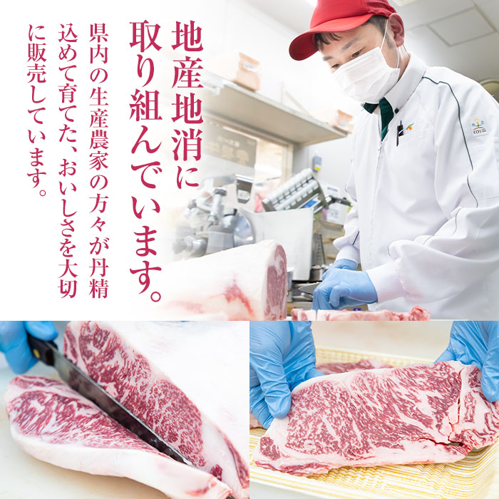 おおいた 豊後牛 サーロイン ステーキ (計400g・200g×2枚) 国産 豊後牛 牛肉 BBQ バーベキュー ステーキ 惣菜 おかず 冷凍 大分県 佐伯市