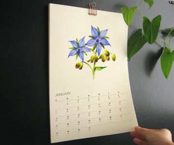 Kitchen Garden 2026年曆掛曆 給植物愛好者的治癒禮物 3