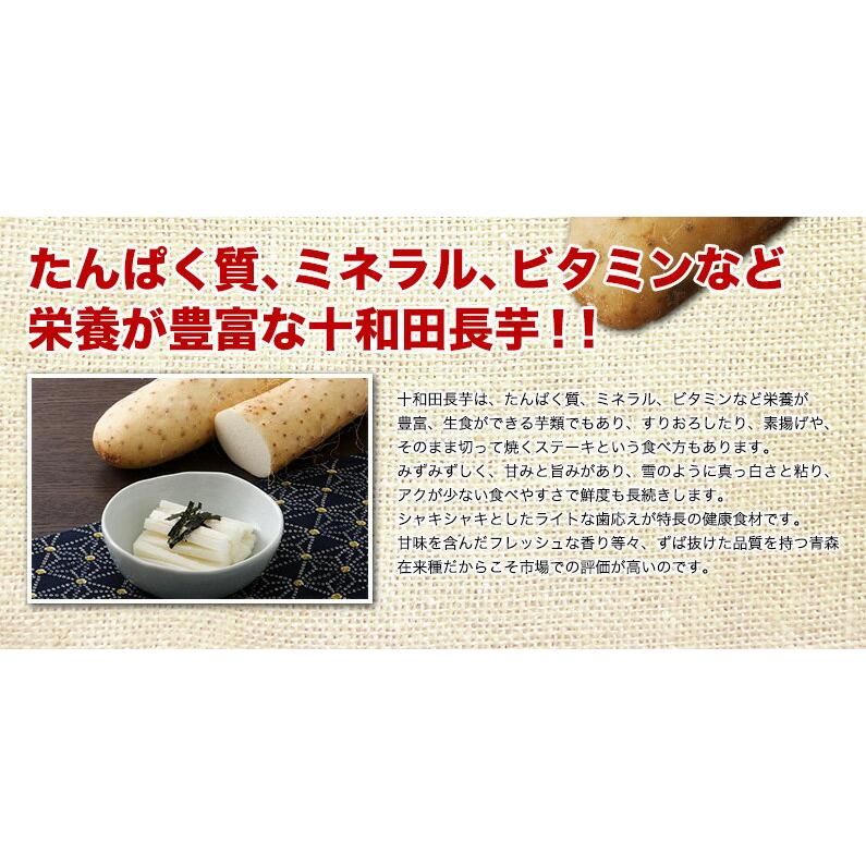 青森県産 味付とろろ 30食セット(50g x 30袋) 味付 山芋 長いも すりおろし 個包装 冷凍 クール 送料無料 Y凍