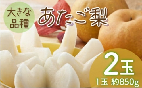 岡山県産　あたご梨2玉(1玉約850g) 化粧箱入り