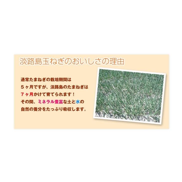 淡路島プレミアム玉ねぎ9kg●送料無料●タマネギ たまねぎ 淡路島たまねぎ 淡路玉ねぎ 淡路島玉ねぎ 玉葱 玉ネギ　南あわじ　あわじ