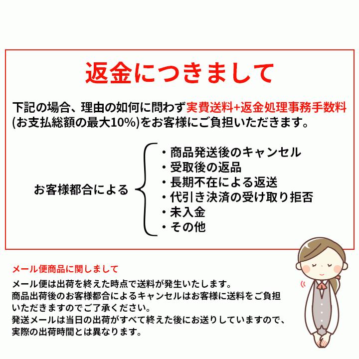 クリスタル岩塩 岩塩 250g 4パックセット クリスタルソルト パウダー あら塩 小粒 ブロック おろし金付き 梅研本舗 UMEKEN HONPO