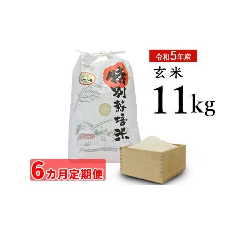 ふるさと納税 安八町産 ハツシモ (ぎふクリーン米)11kg 令和5年産 岐阜県安八町