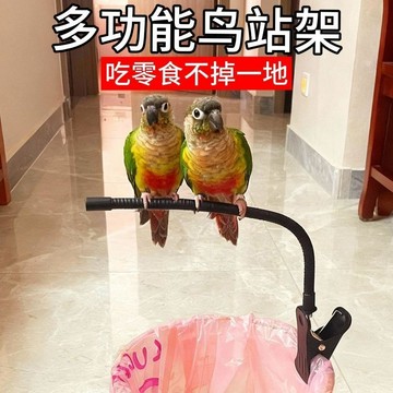 百貨研究所⚡️小太陽定點排便站架垃圾桶站架廁所拉屎夾頭站架訓練杆鸚鵡用品🎉