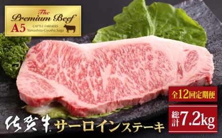 佐賀牛 サーロイン ステーキ 600g（300g×2枚）黒毛和牛 牛肉 ロース 霜降り 定期便 [HAD068]