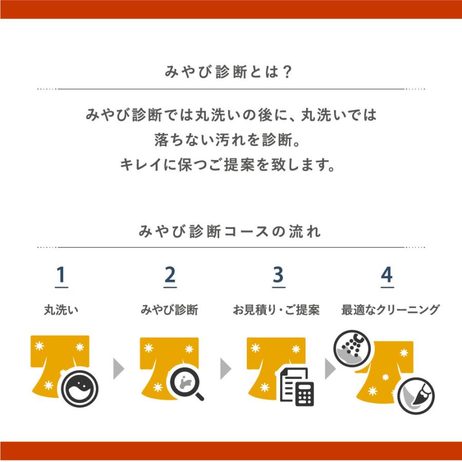 着物 クリーニング 宅配 長襦袢単体プラン(長襦袢・道行コート・羽織など)  雅ネット