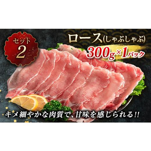 ふるさと納税 宮崎県 日南市 ≪数量限定≫豚肉6種盛り合わせセット(合計4.1kg)　肉　豚　国産 CB73-23-03