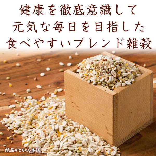 雑穀 雑穀米 国産 健康重視ヘルシーブレンド 2.7kg(450g×6袋) 送料無料 ダイエット食品 置き換えダイエット 雑穀米本舗 ＼セール／