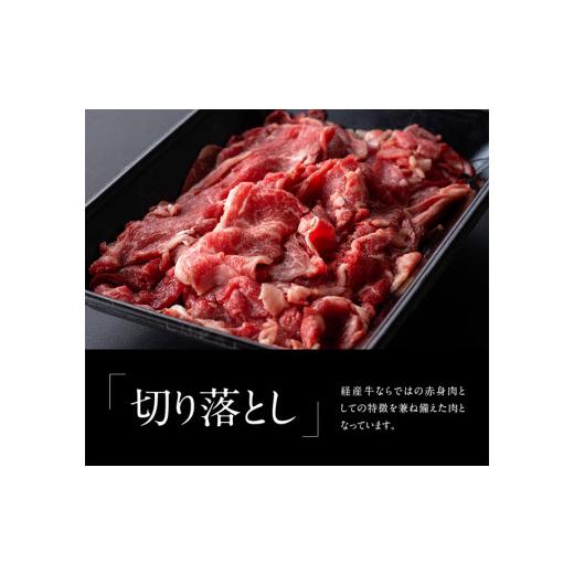 ふるさと納税 宮崎県 川南町 ※令和6年2月より順次発送※宮崎県産黒毛和牛 切り落とし 1.2kg 肉 牛 牛肉