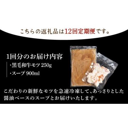 ふるさと納税 佐賀県産黒毛和牛 もつ鍋セット 2〜3人前黒毛和牛 牛肉 モツ 鍋 定期便 [HAD142] 佐賀県江北町