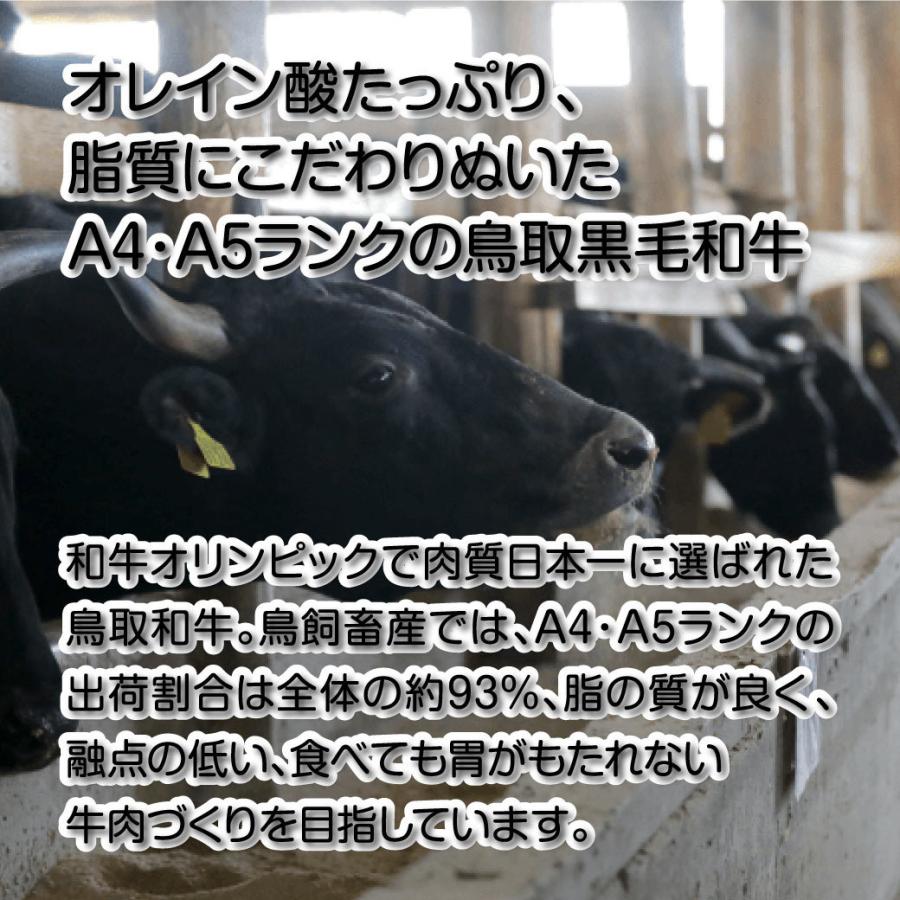 牛肉 牛すじ 国産 1kg 和牛引きすじ 500g アキレス 500g スジ肉 和牛 鳥取県産 産地直送